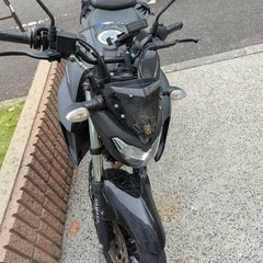 Yamaha FZ25 ヤマハ　fz25 ABSの画像