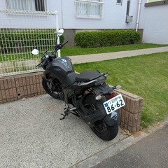 Yamaha FZ25 ヤマハ　fz25 ABSの画像