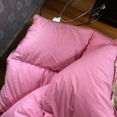 西川　高級ダウンウェザー掛け布団の画像