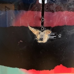 Burton スノーボード バートン PROCESS FV　ボード　板の画像