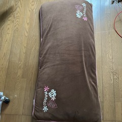 長めのクッションの画像