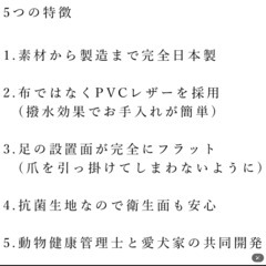 ドッグステップの画像