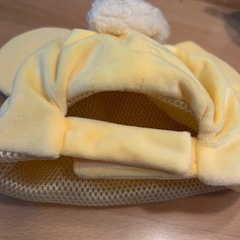 ルチータファンキャップとスペシャルパワーライトの画像