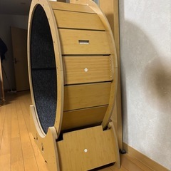 キャットホイールの画像