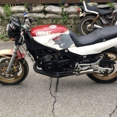 rz250rの画像