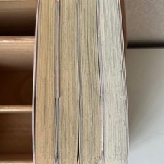 千早さんはそのままでいい  4巻セットの画像