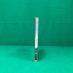 【中古】やなわらばー　空をこえて　海をこえての画像