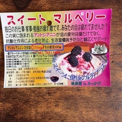スイートマルベリー鉢付きの画像