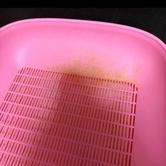 猫　トイレ　キティ　汚れありの画像