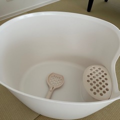 猫トイレの画像
