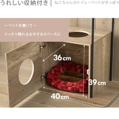 お話し中　キャットタワー　木製　アイリスオーヤマ　美品の画像