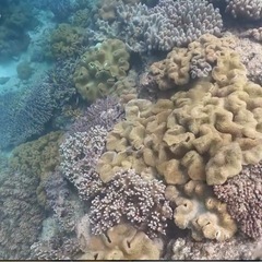 GoPro 水中レンズ INON UFL-G140 SD の画像