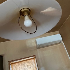 洋風電気傘本日0円の画像