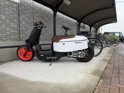 ロンホイ　ボックス　カスタム多数