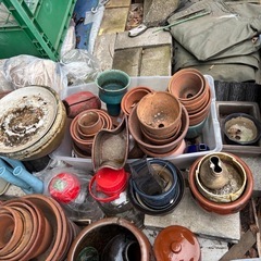 鉢植・花瓶　無料の画像