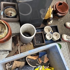 鉢植・花瓶　無料の画像