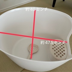 猫トイレの画像