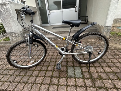 LOUIS GARNEAU LGS J24 ジュニア24インチ 子供ロードバイク