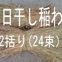 天日干し稲わら２括り（２４束）の画像