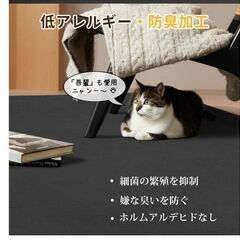 再1【4畳】 絨毯 カーペット ラグマット SOMANT 【ブラック】 冬用 低反発 厚手 抗菌防臭加工 防音 防ダニの画像