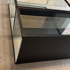 60cm水槽の画像