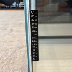 60cm水槽の画像
