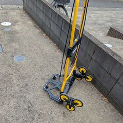 3輪 台車　耐荷重120 kg 補助輪付き 固定ロープ付の画像