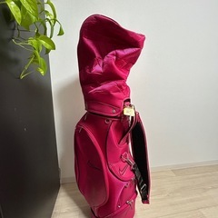 ゴルフクラブ　レディース　ゼクシオ　中古品の画像