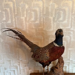 鳥の置物の画像