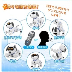 ロボット犬　プログラミングの画像