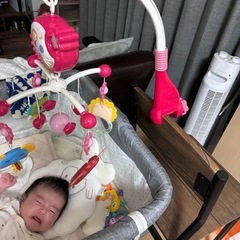 電動ベッドメリーの画像