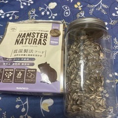 ハムスターの画像