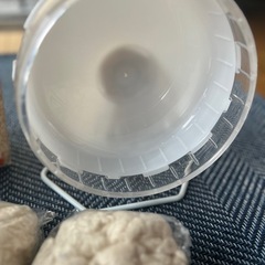 ハムスター飼育セットの画像