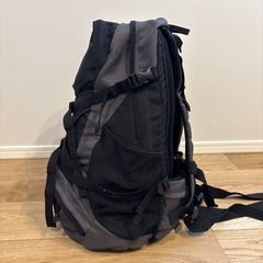 バックパック登山用　レインカバー付の画像