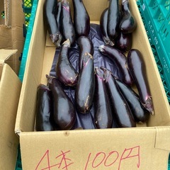 野菜　説明文を確認してくださいの画像