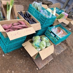 野菜　説明文を確認してくださいの画像
