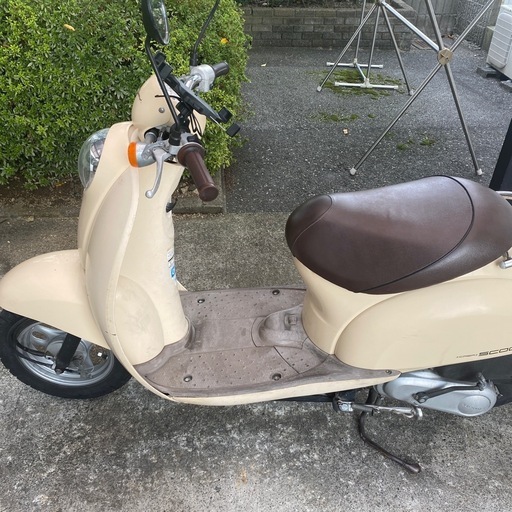 クレアスクーピー　50cc