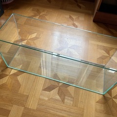メダカ水槽の画像