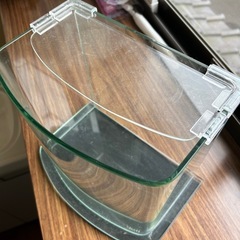メダカ水槽の画像