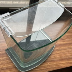 メダカ水槽の画像