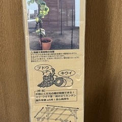 園芸　くだもの棚セット　KT-S 未使用　6280円にて購入　園芸用品　藤棚　果物棚の画像