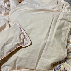 薄手の羽毛布団の画像