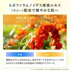 V3 VSPIC C Cleanser クレンジングの画像