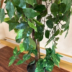 観葉植物 フェイクグリーンの画像