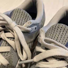 ミズノ　スニーカー　24.5cmの画像