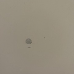 コストコ　キッチン　おままごとの画像