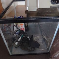 水槽とポンプ？の画像