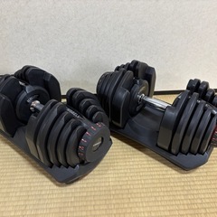 可変式ダンベル（40kg×2） ※値段交渉要相談の画像