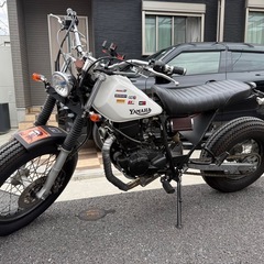 即納TW200スカチューンロンスイの画像
