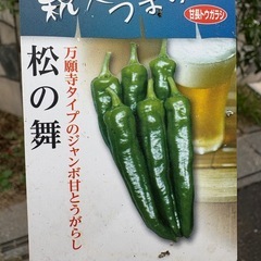 【2名様限定】甘長トウガラシの画像